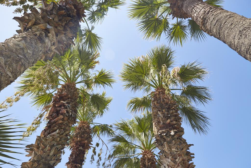 Meteor Beach Hotel Turgutreis Eksteriør bilde