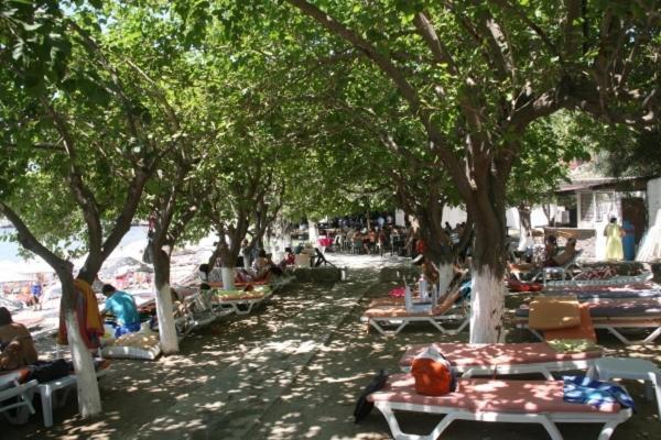 Meteor Beach Hotel Turgutreis Eksteriør bilde