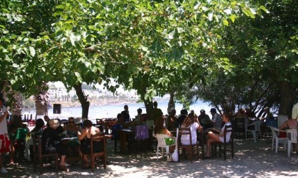Meteor Beach Hotel Turgutreis Eksteriør bilde
